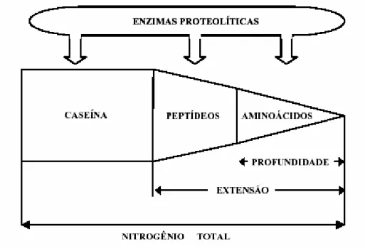 Figura 7 – Representação esquemática dos conceitos de extensão e 