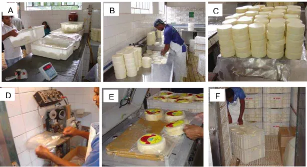 Figura 21 – Tratamento dado ao queijo minas artesanal do Serro antes da  sua comercialização: A - Chegada do queijo ao entreposto