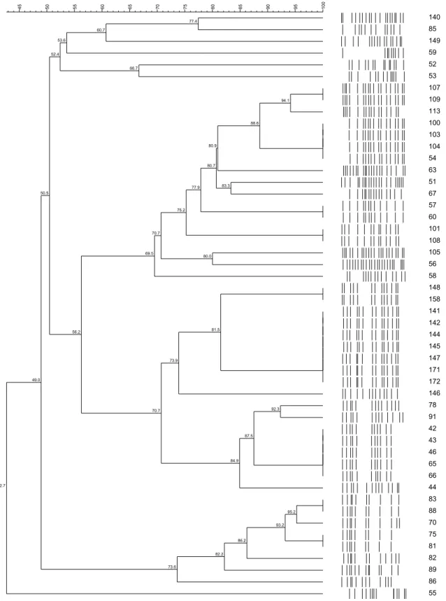 Fig.  2.  Dendograms  based  on  UPGMA  clustering  (Dice  coefficient)  of  PFGE  profiles  from culture strains of P