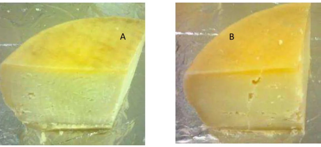Figura 6. Coloração da massa dos queijos com 30 dias de maturação. A: queijo pasteurizado  (P)