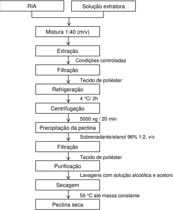 Figura 7: Fluxograma de extração de pectina a partir do resíduo insolúvel em  álcool (RIA)