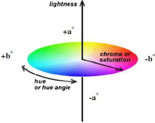 Figura 8: Espaço de cor CIEL*a*b*. Fonte: Pathare et al. (2013). 