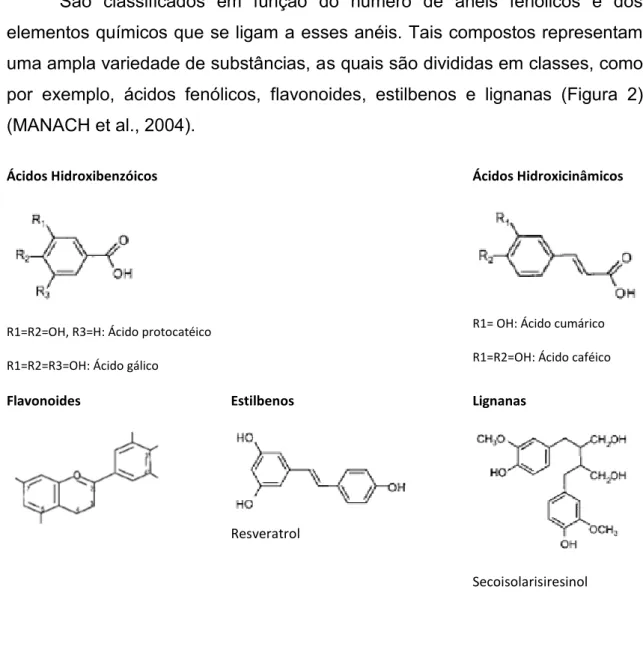 Figura 2 - Estrutura química das classes de polifenóis 