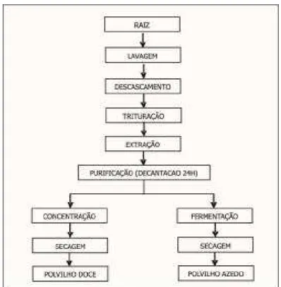 Figura 3 – Fluxograma  geral  do  processamento  de  polvilho  doce  e  azedo  (Fonte:  adaptado de DINIZ, 2006)