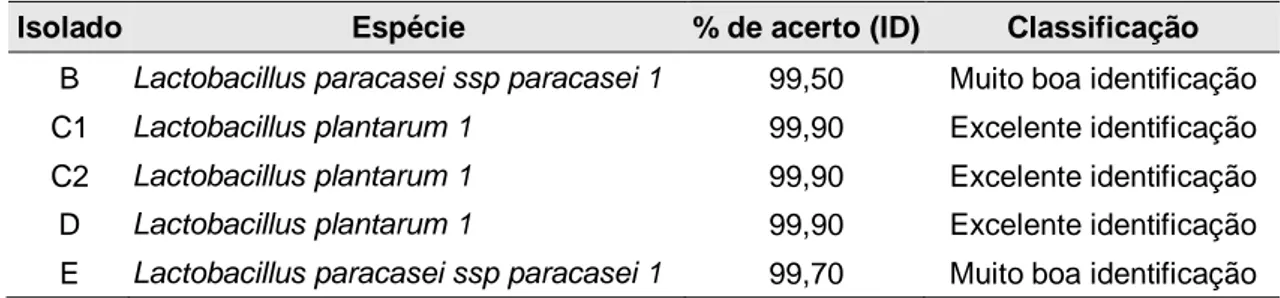 Tabela  7 –  Resultado  do  procedimento de  identificação fenotípica de  cinco  isolados,  obtidos da fermentação natural do polvilho, por meio do kit API ®  50 CH 