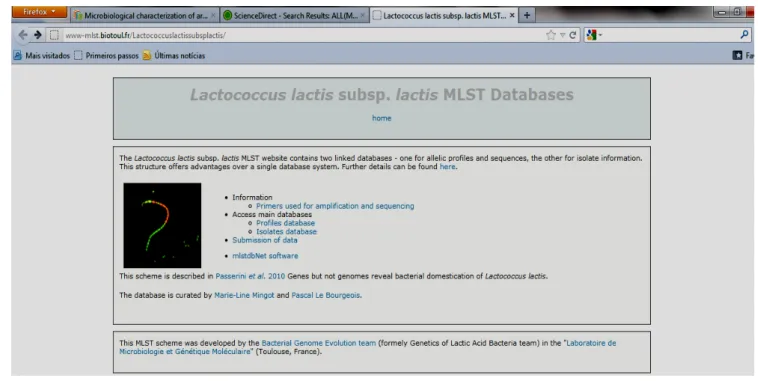 Figura 4: Exemplo da homepage para estudo de cepas de L. lactis subsp. lactis  O uso da MLST será de grande ajuda na definição do status de novas  cepas de bactérias láticas, e pode ser mais informativo que outros métodos  de  genotipagem  (Passerini  et  