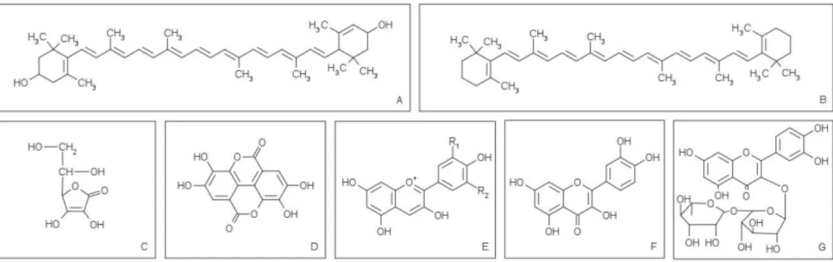 Figura  3  – Estrutura química das principais biomoléculas presentes no camu-camu:  (A) Luteína; (B) β-caroteno; (C) Ácido ascórbico (Vitamina C); (D) Ácido elágico;  (E) Estrutura geral das antocianidinas; (F) Quercetina; (G) Rutina