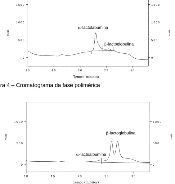 Figura 5 - Cromatograma da fase salina  