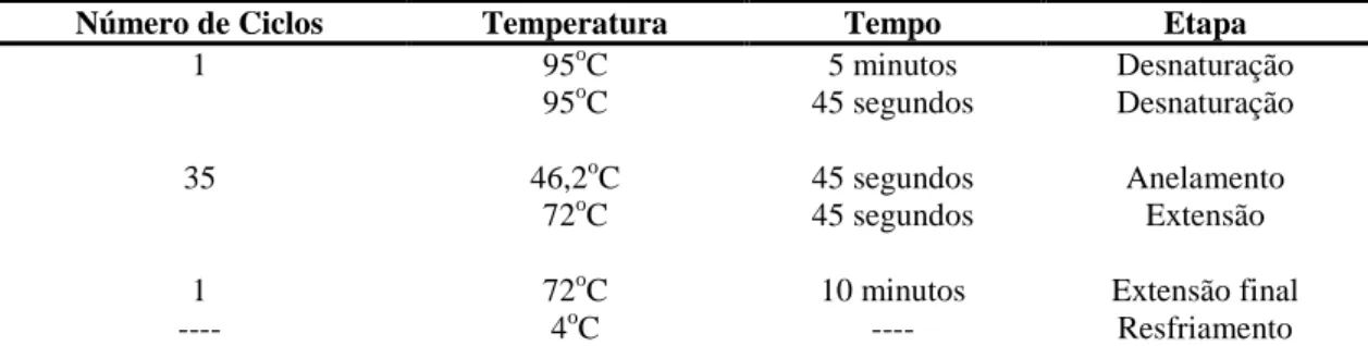 Tabela 5. Condições de amplificação estabelecidas para todas as reações de PCR. 