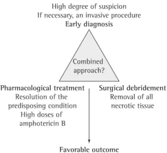 Figure  5  - Combined approach to the treatment of  zygomycosis. Adapted from Gonzalez et al