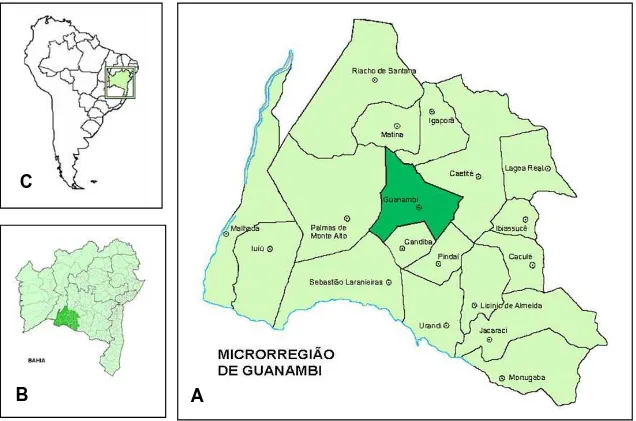 Figure 2: Map of the Guanambi Microrregion, plotting the 18 cities of sampling 