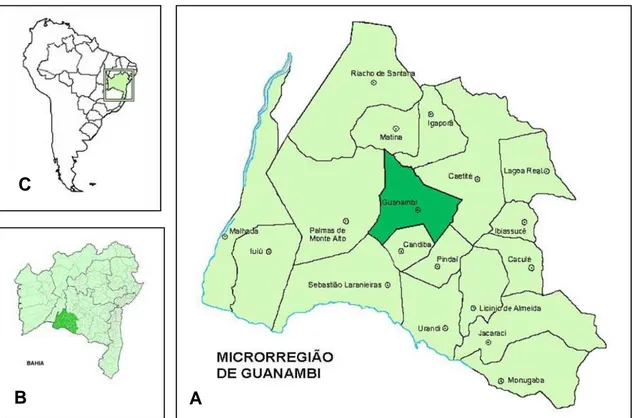 Figura 1. Microrregião de Guanambi com detalhe dos 18 municípios de coleta 