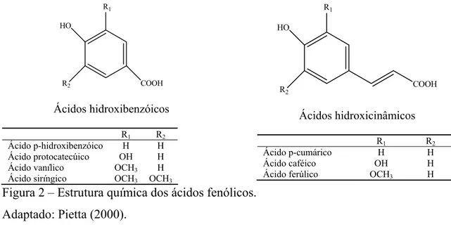 Figura 2 – Estrutura química dos ácidos fenólicos.  Adaptado: Pietta (2000). 