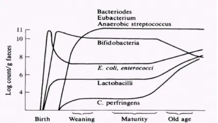 Figure 3: Changes in the intestinal microbiota with age (Mitsuoka, 1989). 