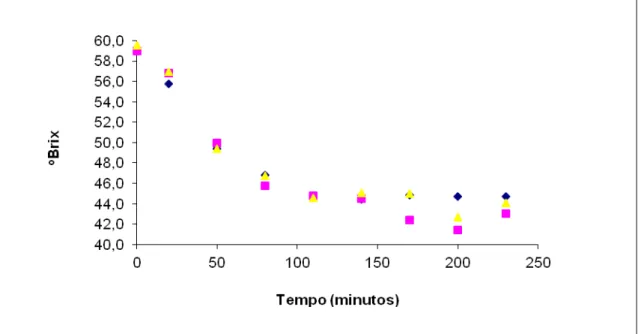 Figura 5 – Variação no teor de sólidos solúveis (ºBrix) com o tempo durante a  cristalização do soro integral