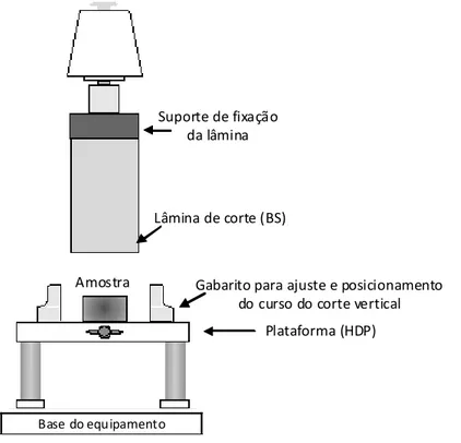Figura 3 – Representação esquemática da análise instrumental de textura. 