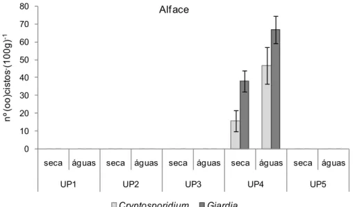 Figura 5 - Caracterização parasitológica de alface produzida em cinco unidades  produtoras (UP) de alface, situadas na região de Viçosa  ± MG, nos  períodos de seca e águas, médias de três repetições