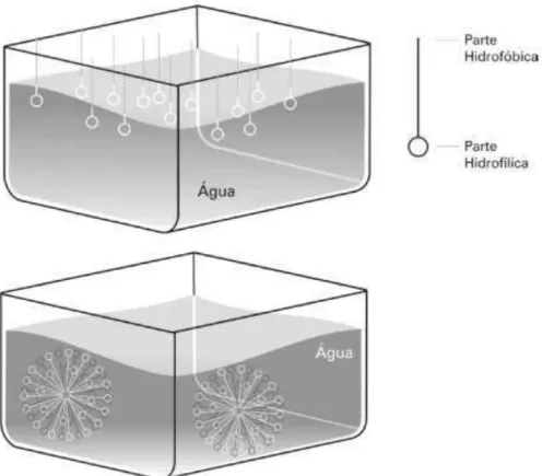 Figura 2 - Representação esquemática da interação do surfactante com a água. Fonte:  ANDRADE (2008)