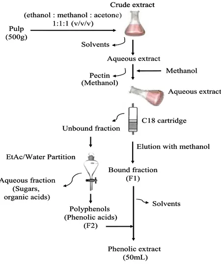 Figure 4. Procedure used for extraction of mango polyphenols 