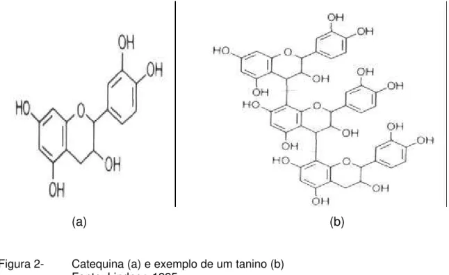 Figura 2-  Catequina (a) e exemplo de um tanino (b)  Fonte: Lindner, 1995 