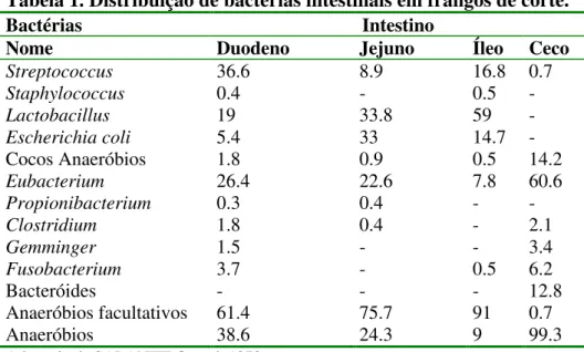 Tabela 1. Distribuição de bactérias intestinais em frangos de corte. 