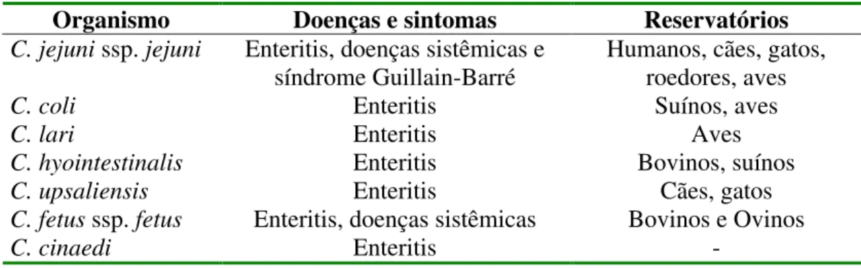 Tabela 1. Espécies de Campylobacter patogênicos e seus reservatórios  Organismo  Doenças e sintomas  Reservatórios  C