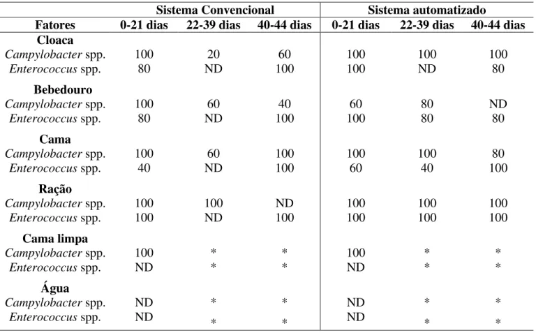 Tabela 3. Prevalência (%) de Campylobacter spp. e Enterococcus spp. em galpão de criação de frango de corte nas  diferentes fases de criação nos sistemas de criação convencional e automatizado durante a 