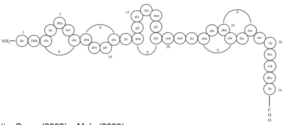 Figura 4 – Representação da estrutura química da molécula de nisina. 