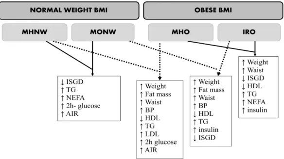 Figure  1  –  Comparison  of different  metabolic  phenotypes  described  by  Sucurro  and  co-workers: 37   dotted  lines  connect  the  comparison  between  groups  of  similar   insulin-stimulated  glucose  disposal  but  different  BMI  range  (MHNW  v