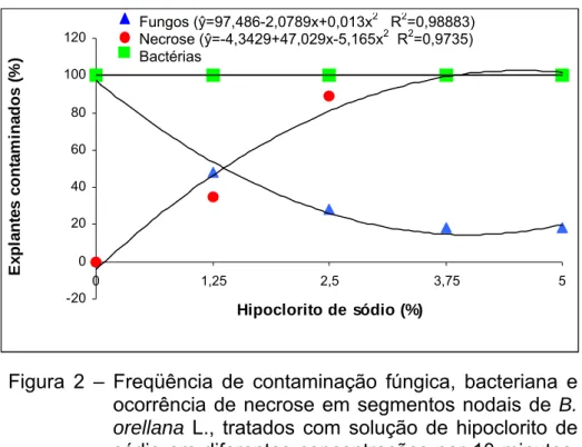 Figura 2 – Freqüência de contaminação fúngica, bacteriana e  ocorrência de necrose em segmentos nodais de  B