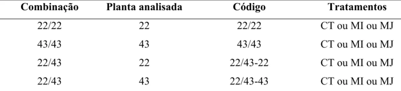 Tabela 1 - Códigos das combinações utilizadas para cada tratamento em vasos  cultivados com plantas de Pffafia glomerata [acessos 2202-15 (AC 22) e 2209-09 (AC  43)]