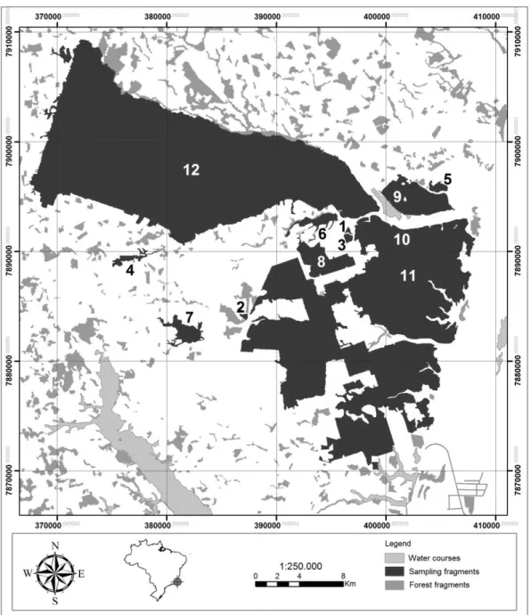 Figure 1 - Study area and forest fragments sampled in Southeastern Brazil. To check the  respective names and information about fragments see the table S1