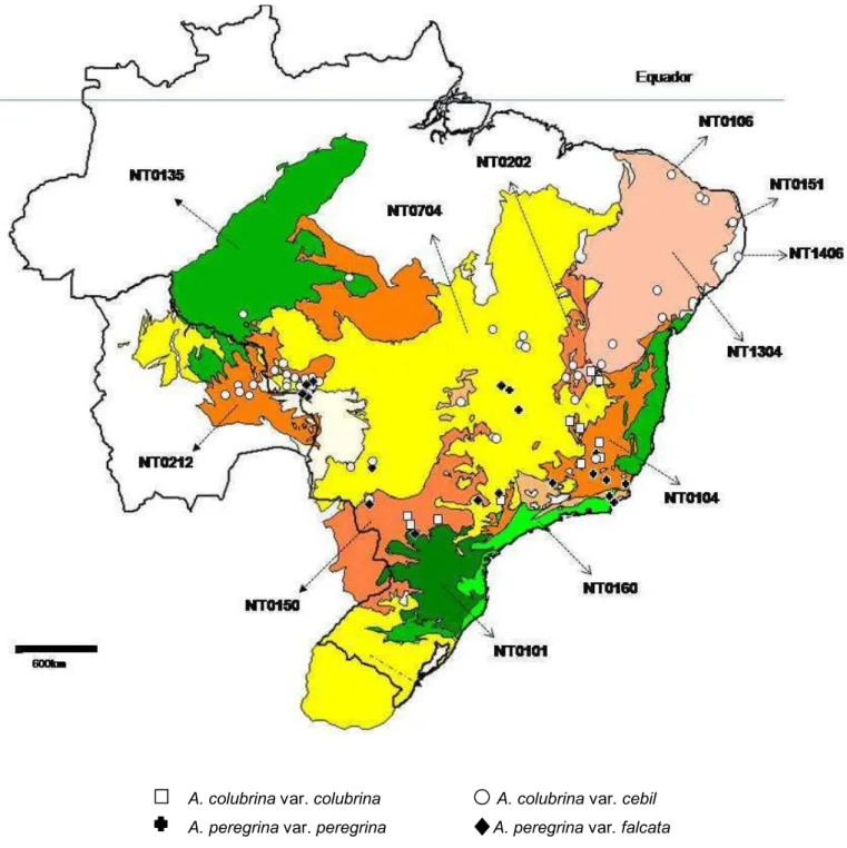 Figura  1.  Localização  das  populações  de  Anadenanthera  colubrina  (Vell.)  Brenan 