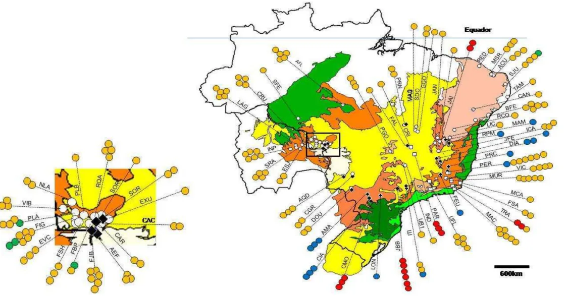 Figura 5. Distribuição geográfica dos clados apresentados na árvore da análise Bayesiana