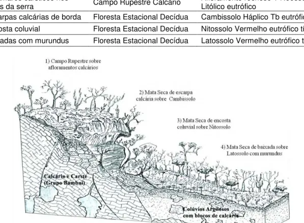 Figura  11.  Diagrama  esquemático  representando  o  gradiente  pedológico-vegetacional  da  borda da Serra de Santana, Capitão Enéas, MG (Ilustração: Carlos E