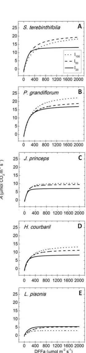 Figura  4  -  Curvas  da  taxa  fotossintética  líquida,  A,  em  resposta  à  intensidade  da  radiação  luminosa,  DFFF, em cinco espécies arbóreas nativas da Floresta  Atlântica,  sob  três  condições  de  luminosidade,  I 100 (pleno sol), I 50  (50% da