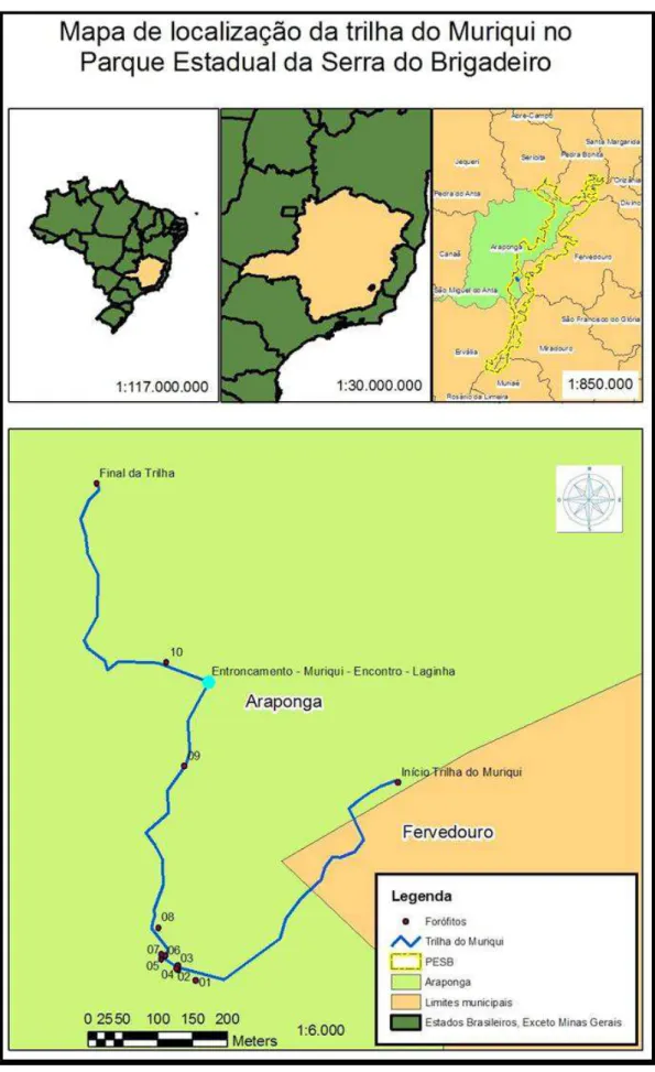 Figura 1. Área de estudo com os dez forófitos selecionados na Trilha do Muriqui,  Parque Estadual da Serra do Brigadeiro, Araponga, MG, Brasil