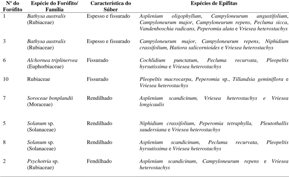 Tabela 3. Diversidade de espécies de epífitas, nos forófitos selecionados, na Trilha do Muriqui, Parque Estadual da Serra do Brigadeiro,  Araponga, MG