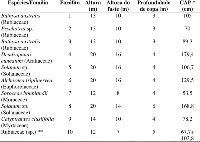Tabela 4. Caracterização dos forófitos selecionados para o estudo das epífitas na  Trilha do Muriqui, Parque Estadual da Serra do Brigadeiro, Araponga, MG