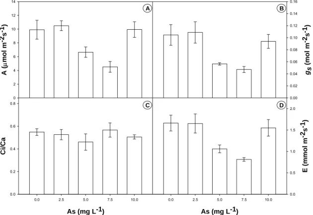 Figura 1. Efeitos do arsênio sobre os parâmetros de trocas gasosas de 