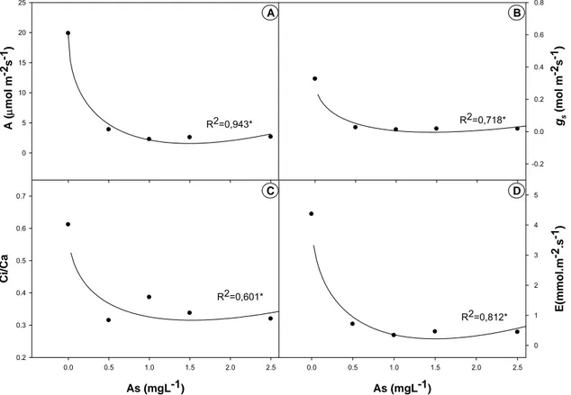 Figura 3. Efeito do arsênio sobre os parâmetros de trocas gasosas de  Cajanus  cajan. A- taxa fotossintética ( A );  B- condutância estomática ( g s );  C- relação  entre a concentração interna e externa de CO 2   ( Ci/Ca );  D- taxa transpiratória  ( E )