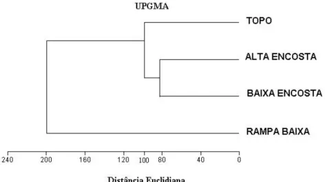 Figura 4 – Dendrograma de Área Basal das quatro faixas topográficas ao longo do 