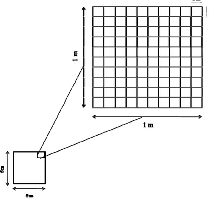 Figura 1: Desenho esquemático do quadro traçado com fio de nylon para 