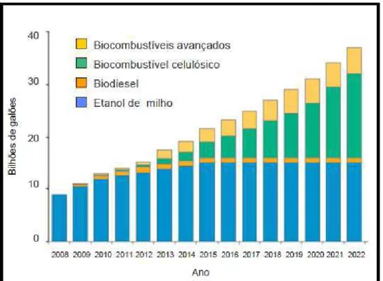 Figura 3 - Perspectivas da produção de biocombustíveis. 