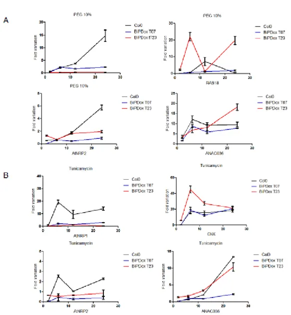 Figura  5.  Overexpression  of  soyBiPD  in  Arabidopsis  attenuates  the  PEG  and  tuncamycin-mediated induction of  NRPP/DCD-mediated cell death genes