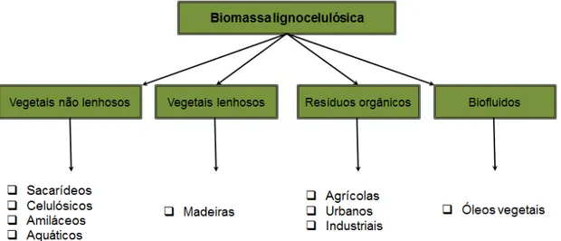 Figura 1. Fontes de biomassa. 