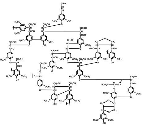 Figura 6. Representação esquemática da lignina de eucalipto.  Fonte: Santos et al., (2012)