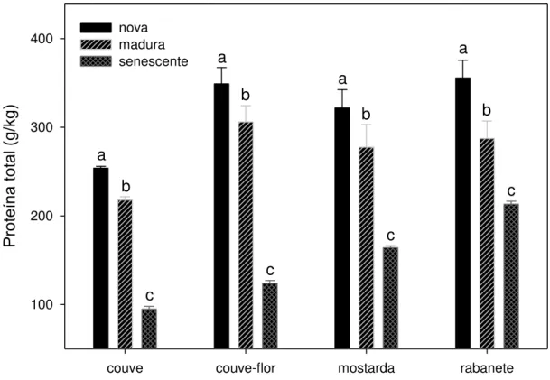 Figura 9  – Concentração de proteína total presente nas folhas das três classes etárias 