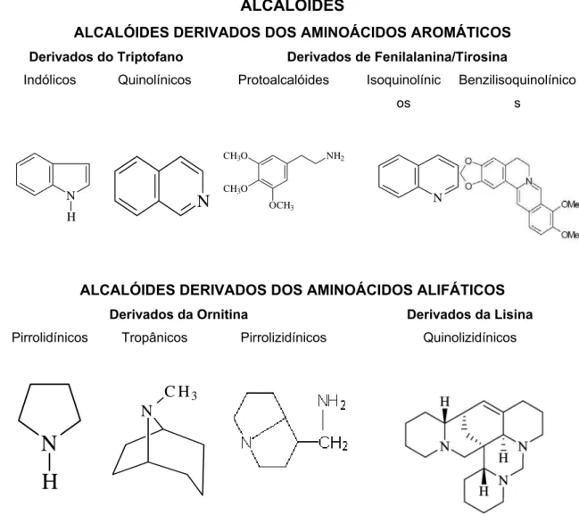 Figura 10: Classificação dos Alcalóides. Estrutura química das diversas classes de alcalóides