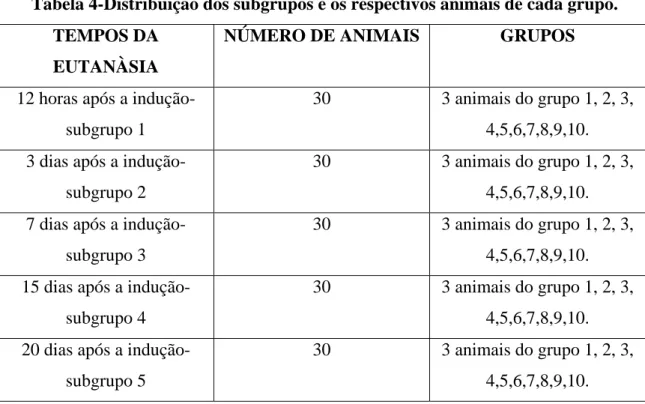 Tabela 4-Distribuição dos subgrupos e os respectivos animais de cada grupo.  TEMPOS DA 